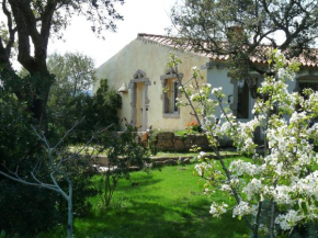 Гостиница La Scala Guesthouse  Берчидедду